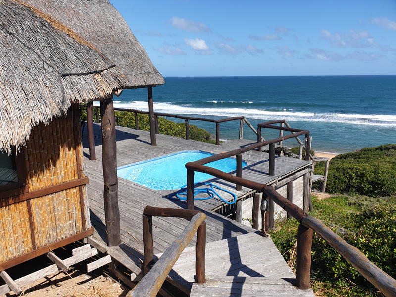 A sunlit deck surrounds a small splash pool, offering ocean views. The structure features a thatched roof and is complemented by wooden railings. Lush greenery lines the path leading down to the beach, with rolling waves visible in the background under a clear blue sky.
