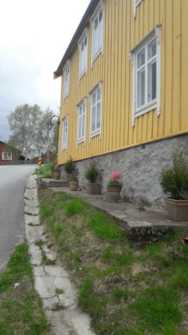 selv krukkeplanter sliter med klimaet og vi mot den.
