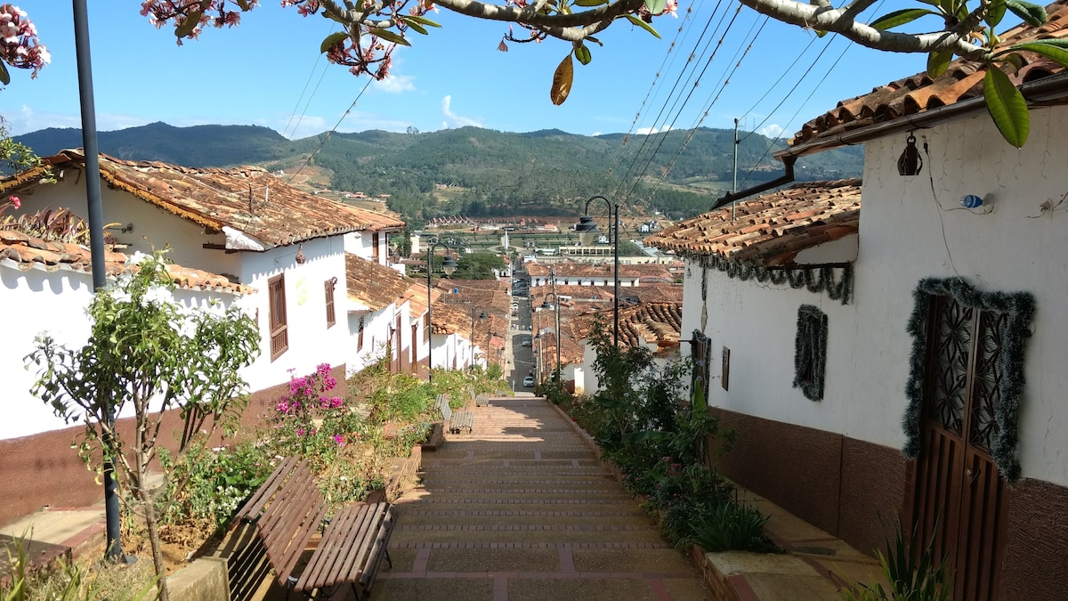 A scenic hillside is depicted, showcasing a view down a cobblestone street lined with traditional white houses featuring terracotta roofs. Lush greenery and flowering plants are visible alongside wooden benches, while rolling hills are seen in the background under a clear blue sky.