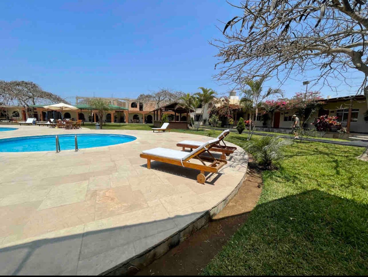 A spacious outdoor area features a sparkling pool, surrounded by sun loungers. Lush greenery and palm trees provide shade, while vibrant flowering plants add color to the landscape. The scene is complemented by a well-maintained lawn, inviting relaxation and outdoor activities.