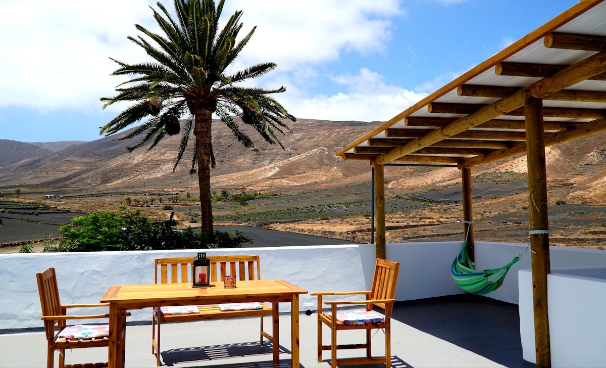 A spacious rooftop terrace features a wooden dining table accompanied by two chairs, with colorful cushions. A large palm tree stands nearby, providing shade. A hammock is casually draped under a wooden pergola. The surrounding landscape showcases rolling hills and a clear blue sky.