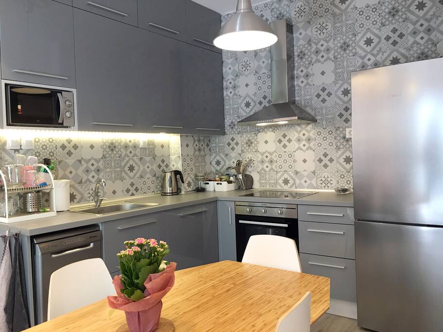 Fully equipped kitchen with fridge, freezer, Micro Owen, Owen, stove, dishwasher etc.
