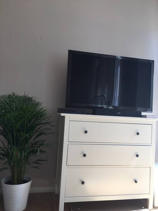 Big Tv and Netflix