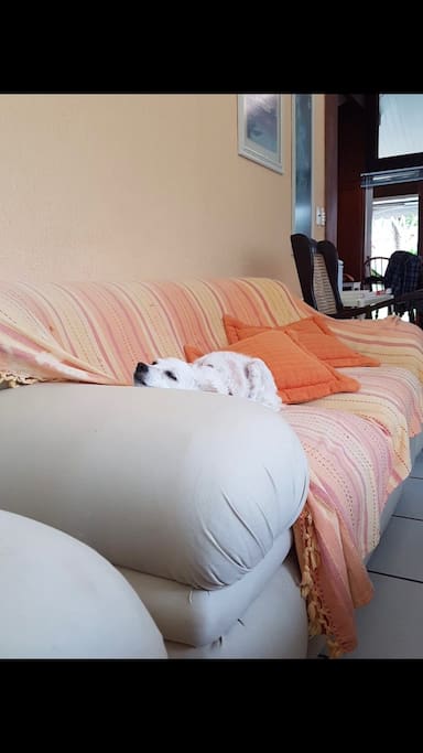 Sala de estar da casa, e a minha cachorrinha dormindo no sofá hahaha