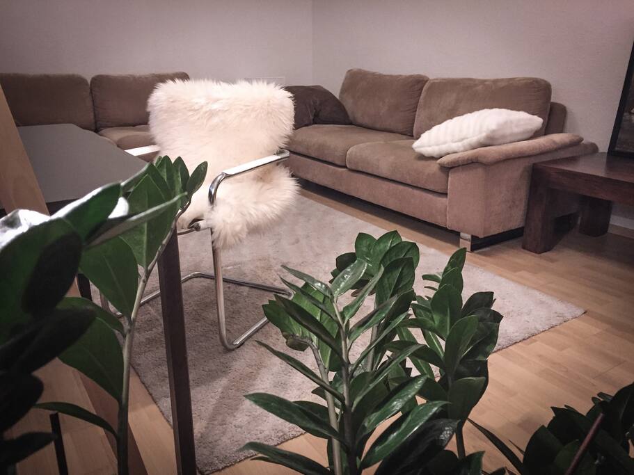 Cosy room
