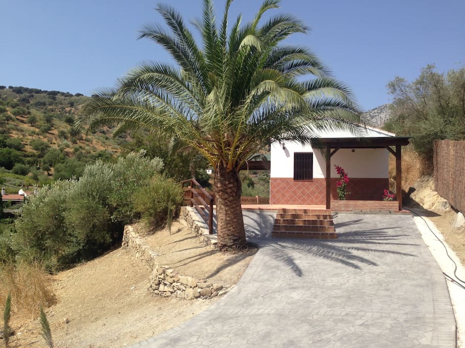 Entrada