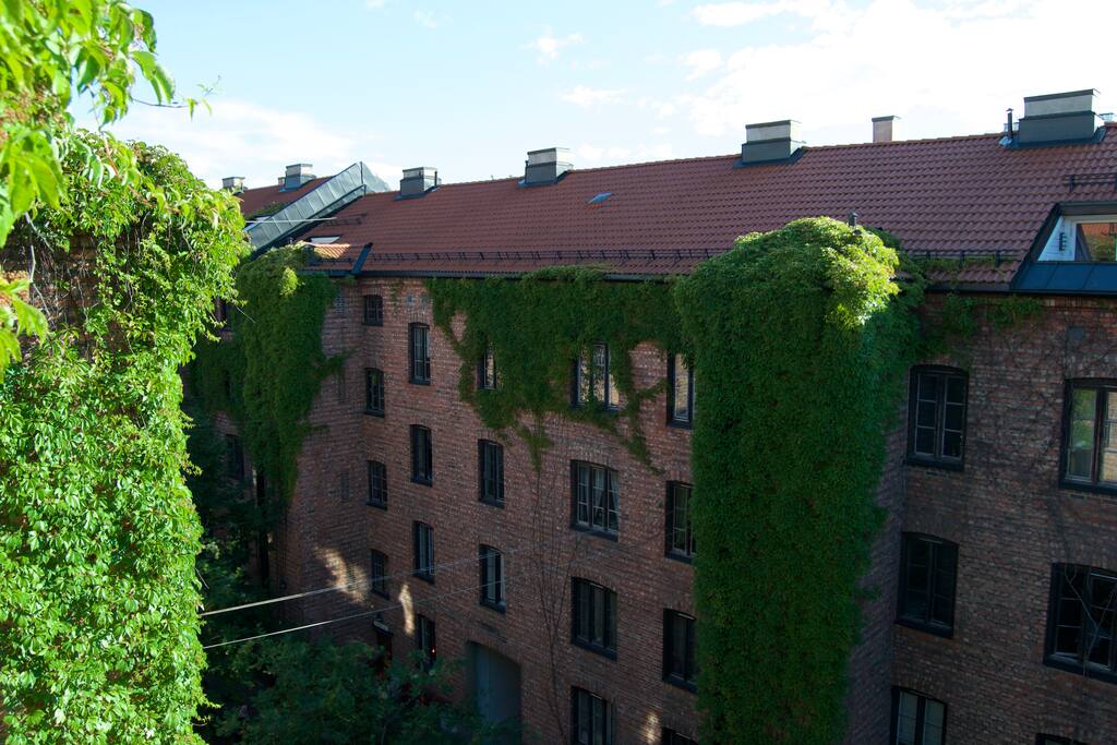 View from terrace