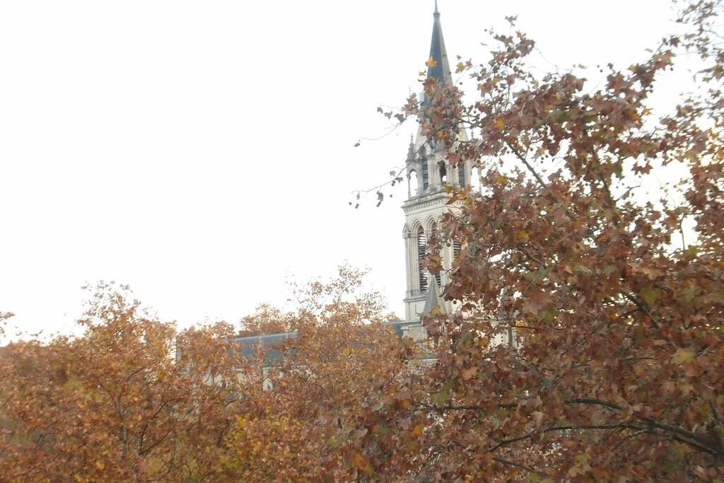 La vue depuis le séjour.