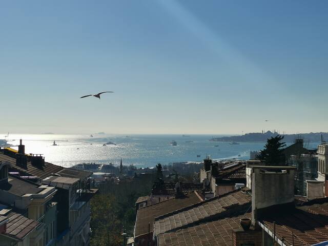 Magnificent Sea View Super Big 3 Bedrooms Duplex gallery image 2