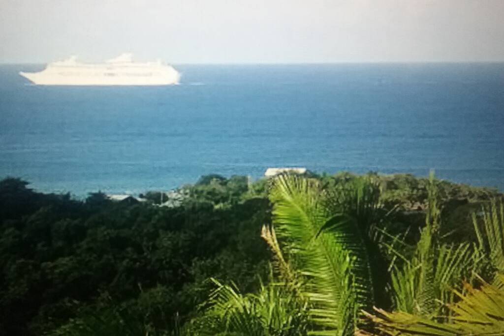 Ocean and lush tropical views