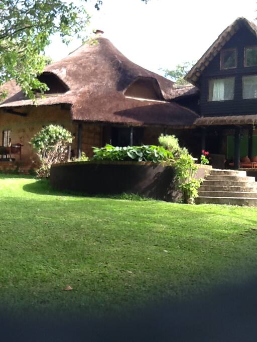 thatched character home