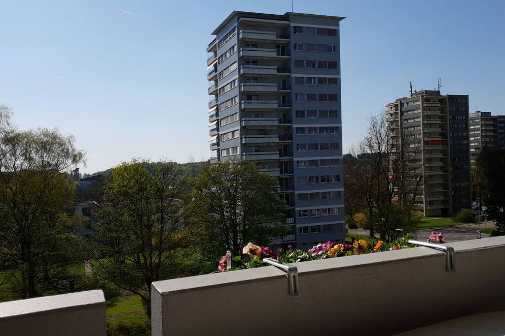 view from balcony to parc area