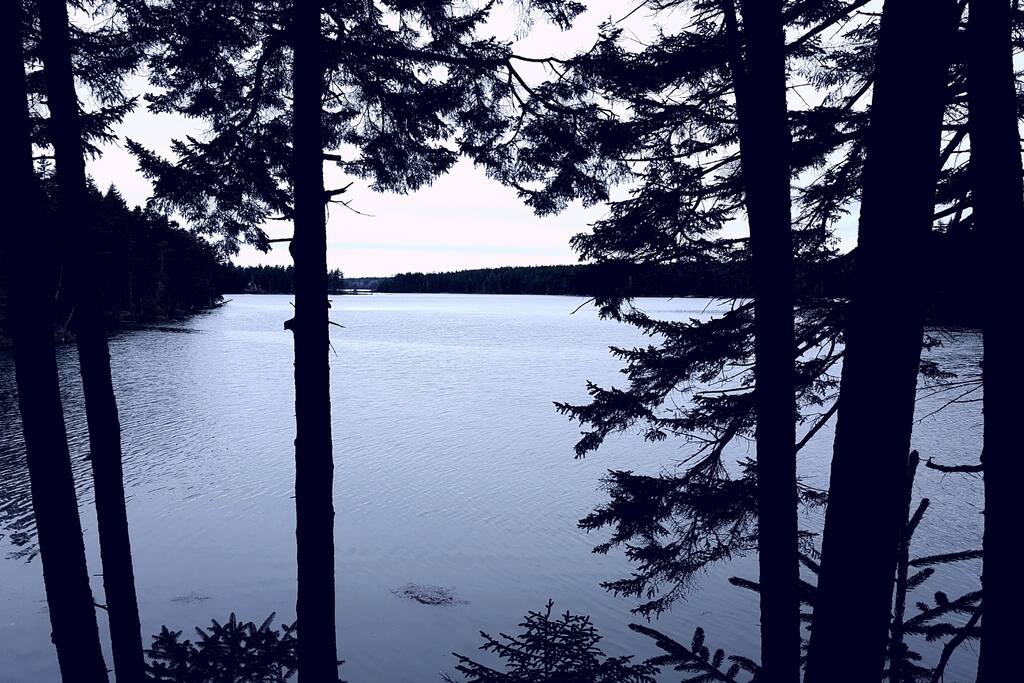 Dusk at high tide. This quiet bay is so tranquil!