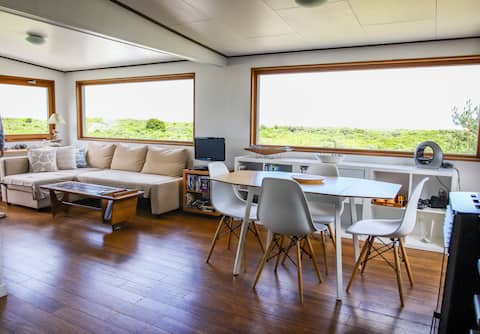 Unobstructed view of the dunes