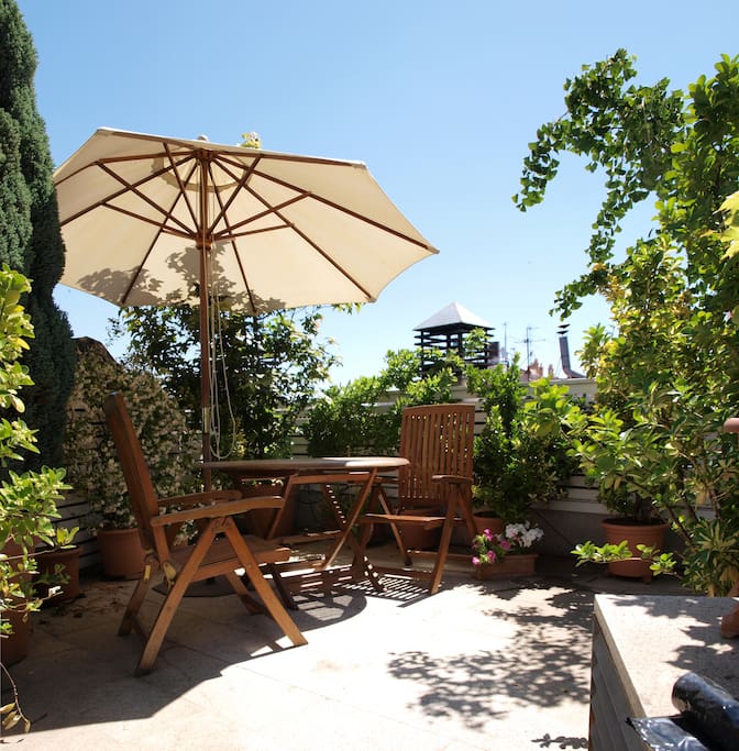 Terrace in summer