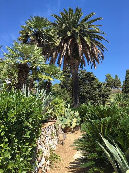 Giardino