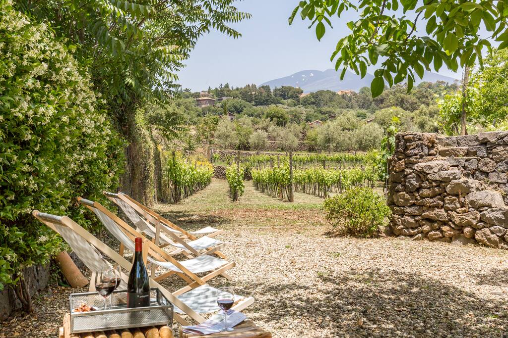 The garden with the mount Etna view