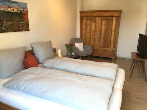 Naumburg: bright, spacious apartment at the city park