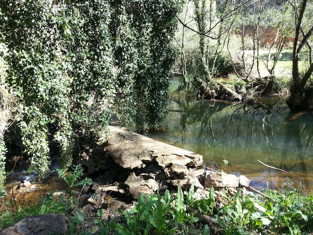 Natural house by the river, near the beach