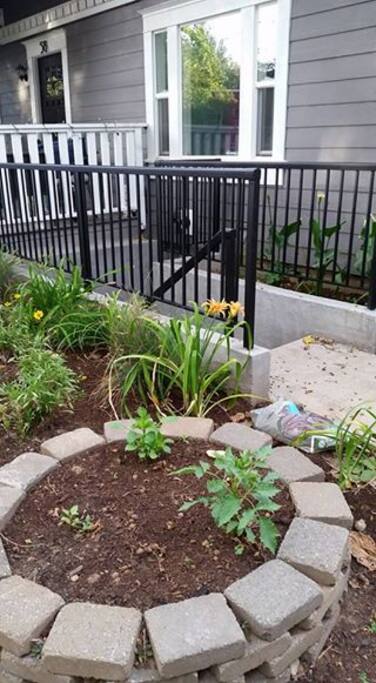 Our garden, right outside your front door!