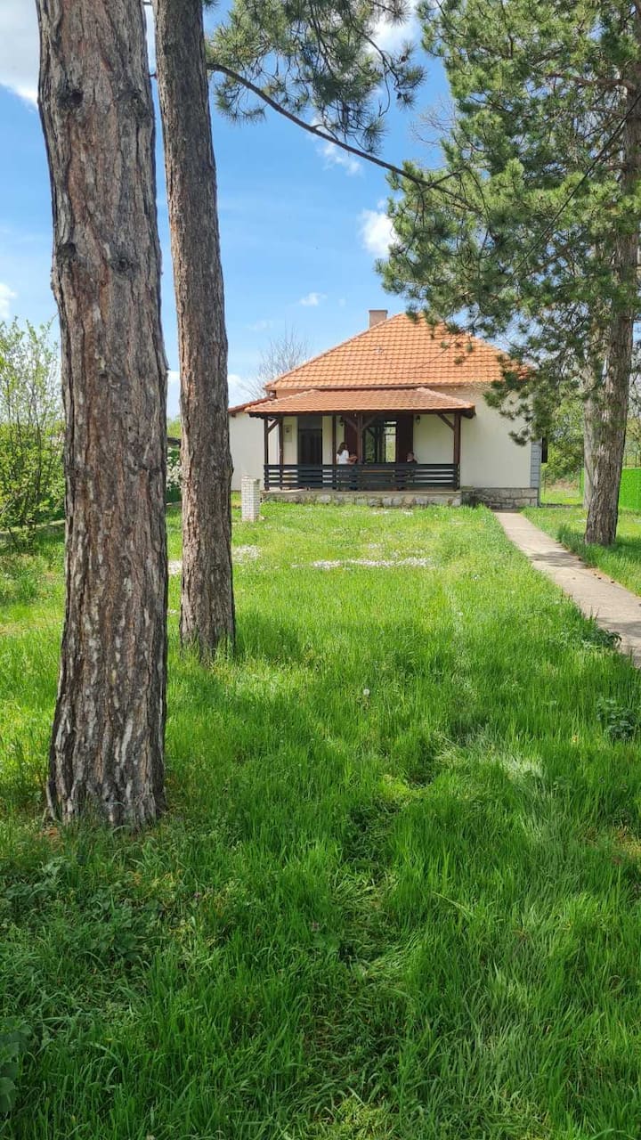 House with big garden