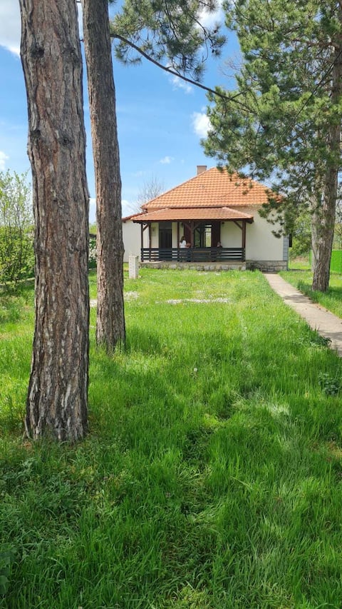 House with big garden