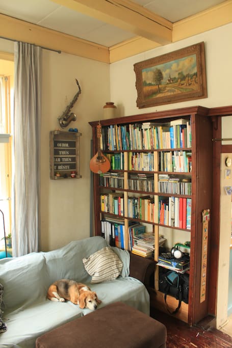 Lezen en muziek luisteren huiskamer