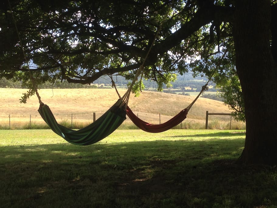 Relax in the hammocks