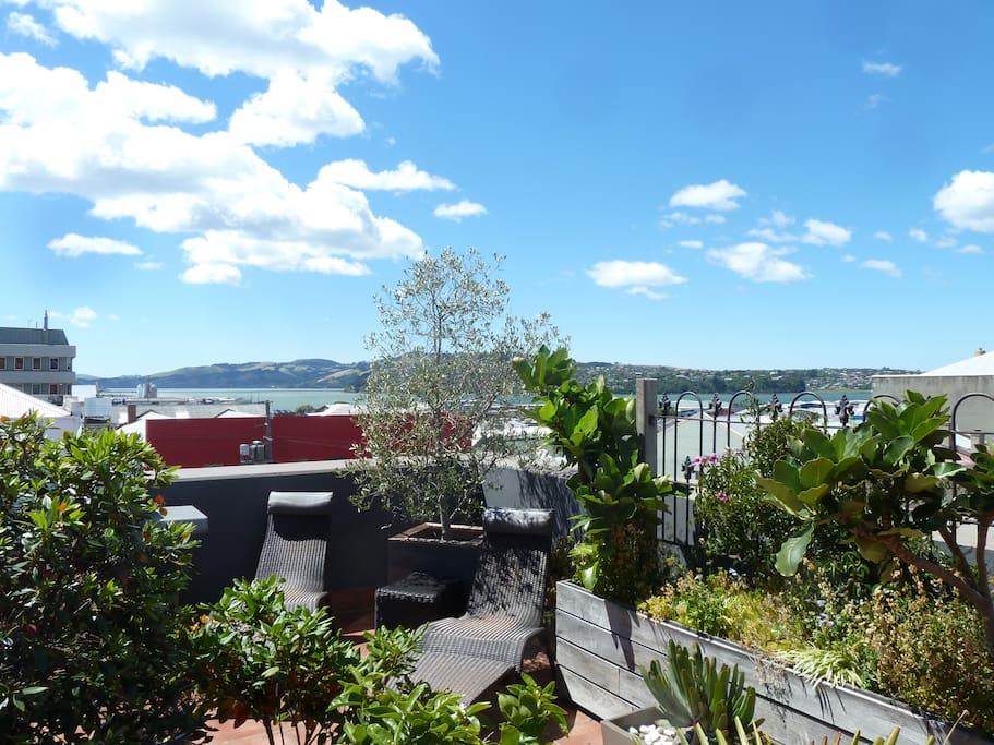 Beautiful views of Dunedin