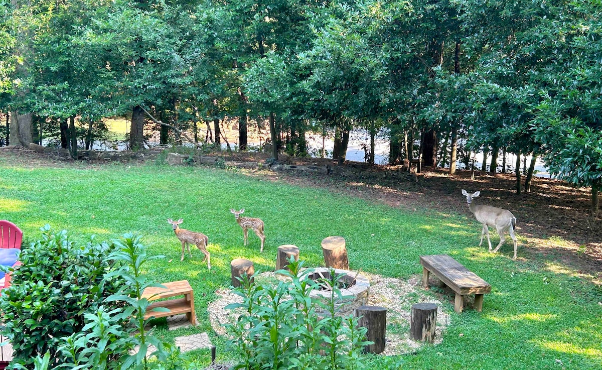 House with private pool nr Lake Lanier
