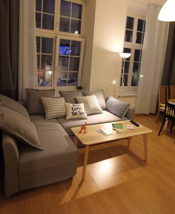 Main room with a comfortable sofa bed