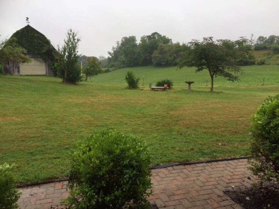 Quiet front yard