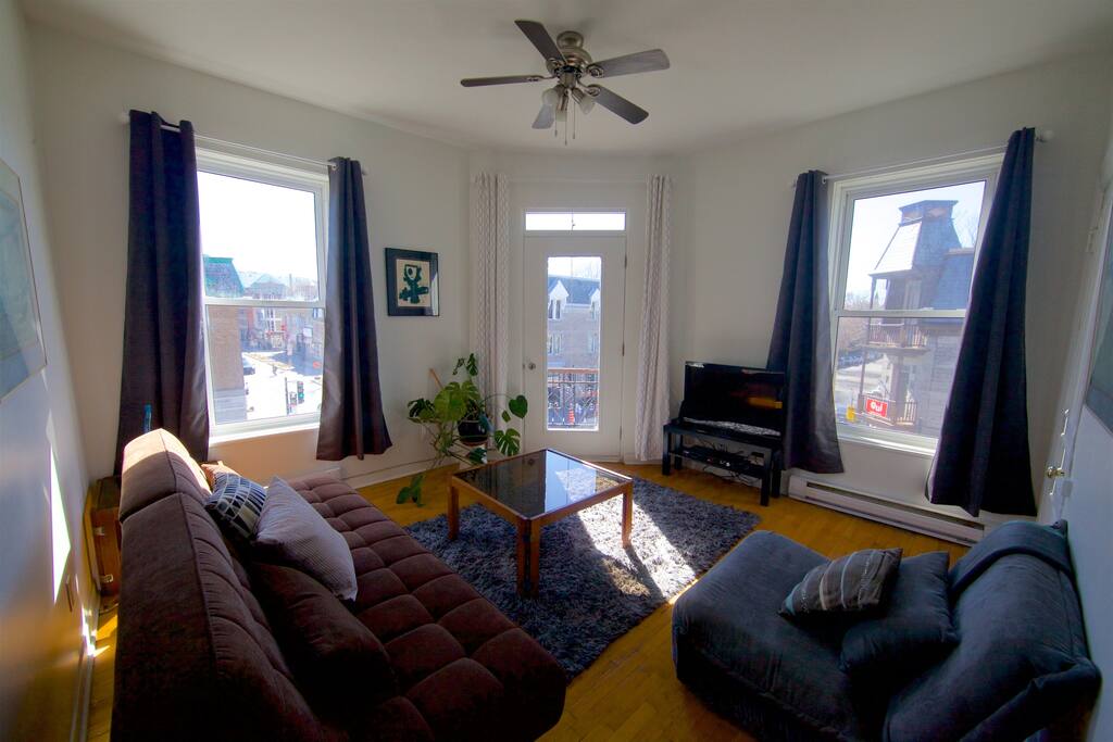 Salon / Living Room