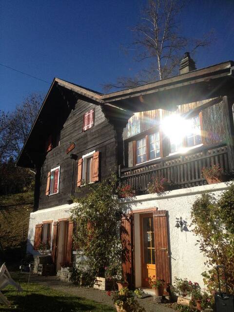 Ovronnaz, chalet "Les Ormeaux", ideal for groups