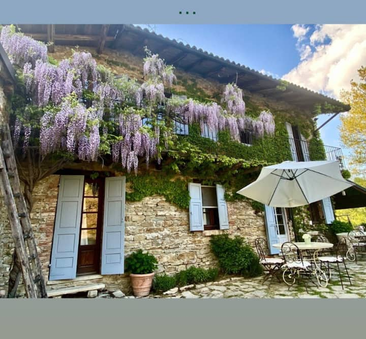 CODES)How To Get The Umbrella In Wisteria