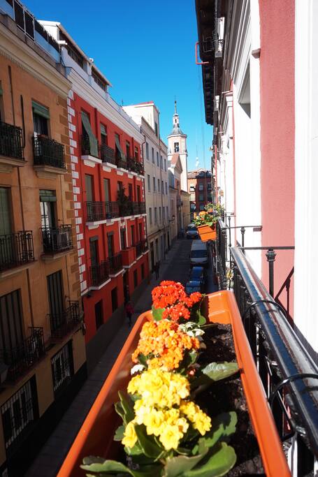 El balcón da a una calle silenciosa y de una hermosa arquitectura