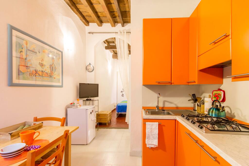 Fridge and Television