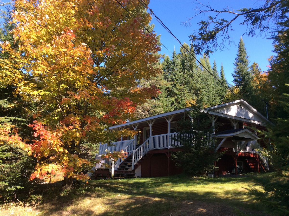A charming chalet is framed by vibrant autumn foliage and surrounded by dense greenery. The covered porch features stairs leading up to the entrance, with a spacious deck for outdoor relaxation. Natural light illuminates the scene under a clear blue sky.