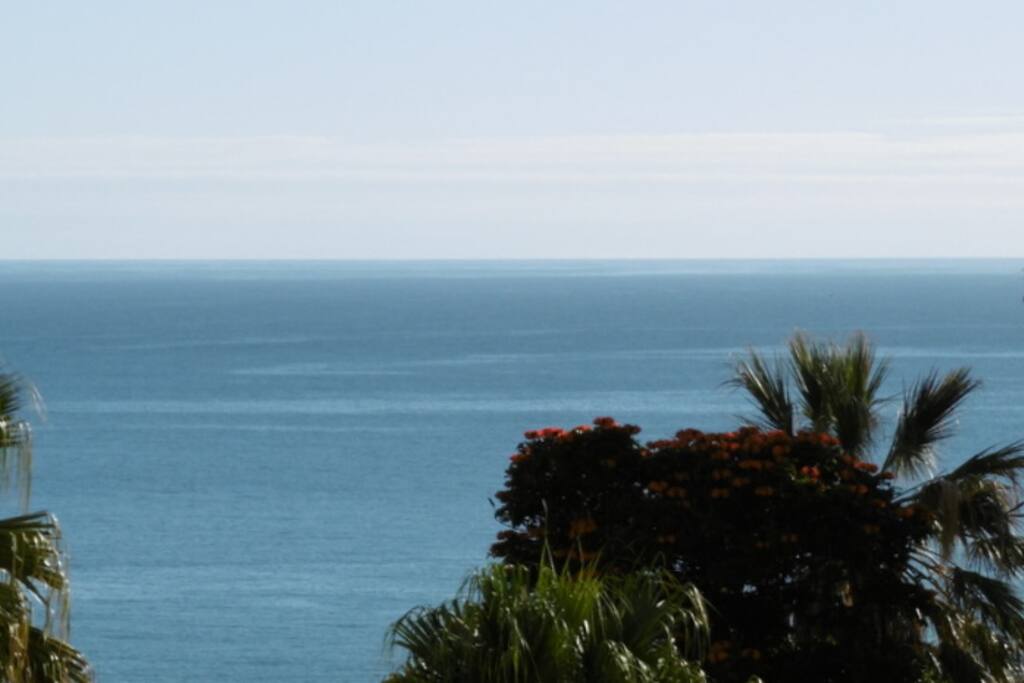 Vue plein Sud de la terrasse