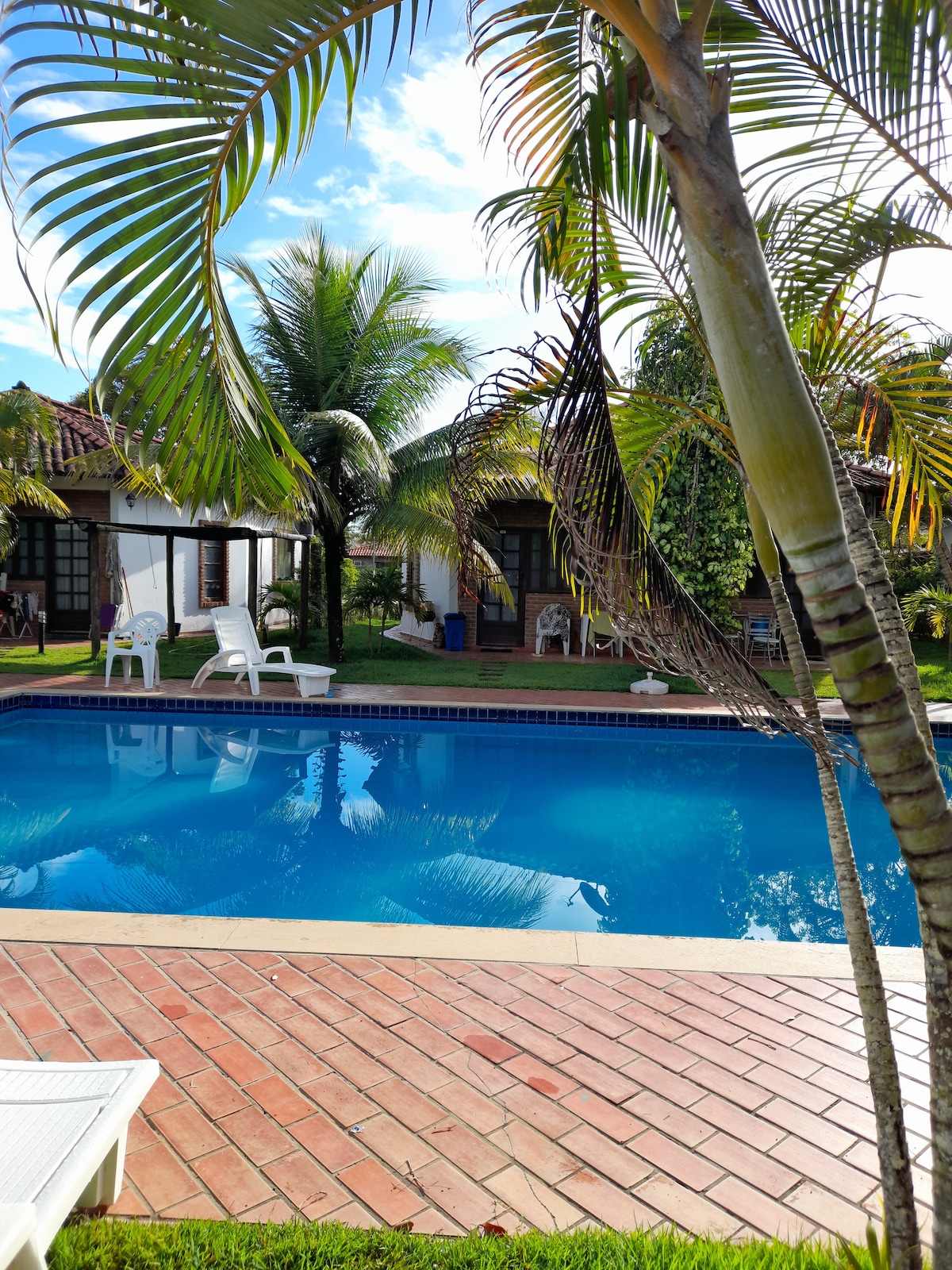 A tranquil swimming pool is bordered by lush greenery and palm trees, offering a refreshing blue hue. White lounge chairs are positioned beside the pool, inviting relaxation. Nearby, charming bungalows can be seen among the vibrant landscaping.