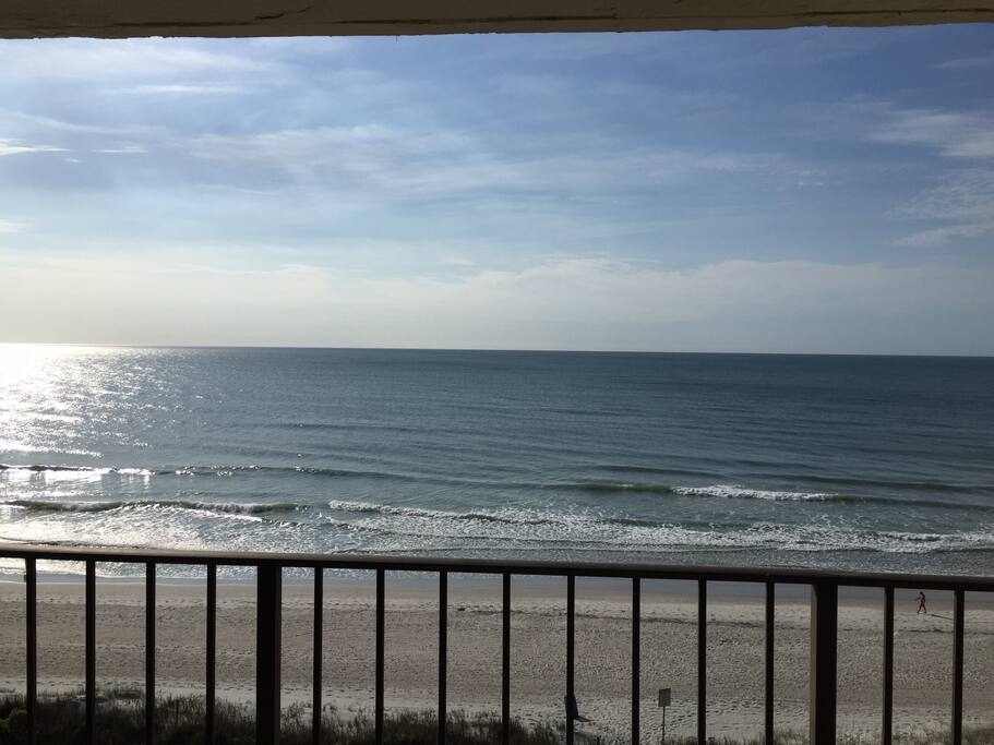 Your view all day long!
