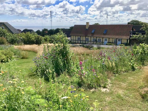 "Hyldemor" - en hyggelig base for to i Gudhjem.