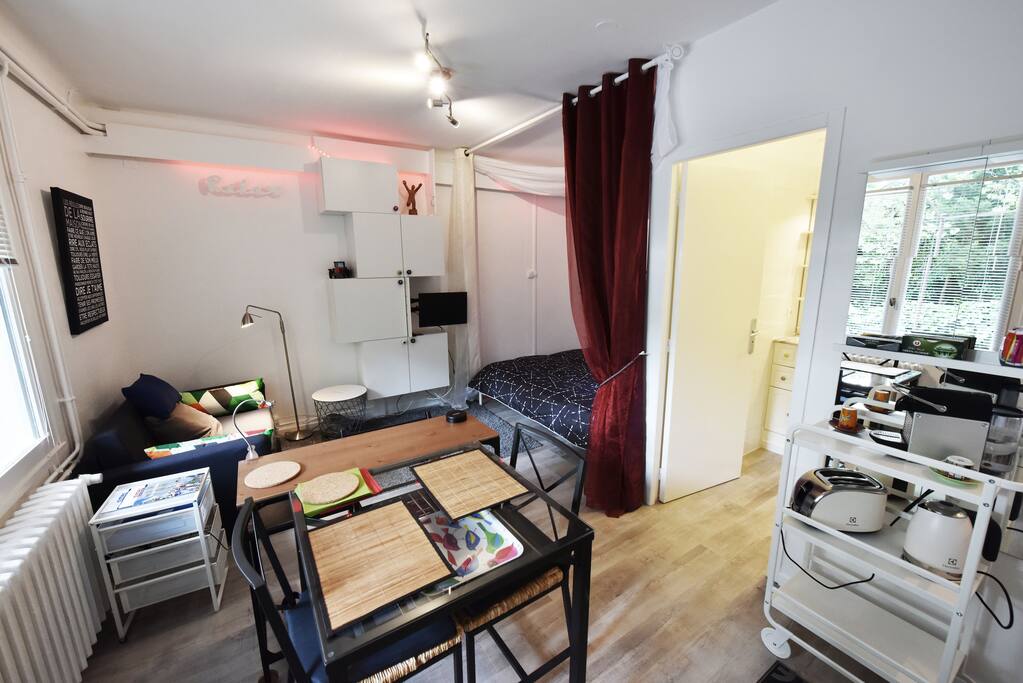 En entrant, vue vers le salon au fond et l'alcôve avec son coin nuit, à droite la salle d'eau et le coin Nespresso...