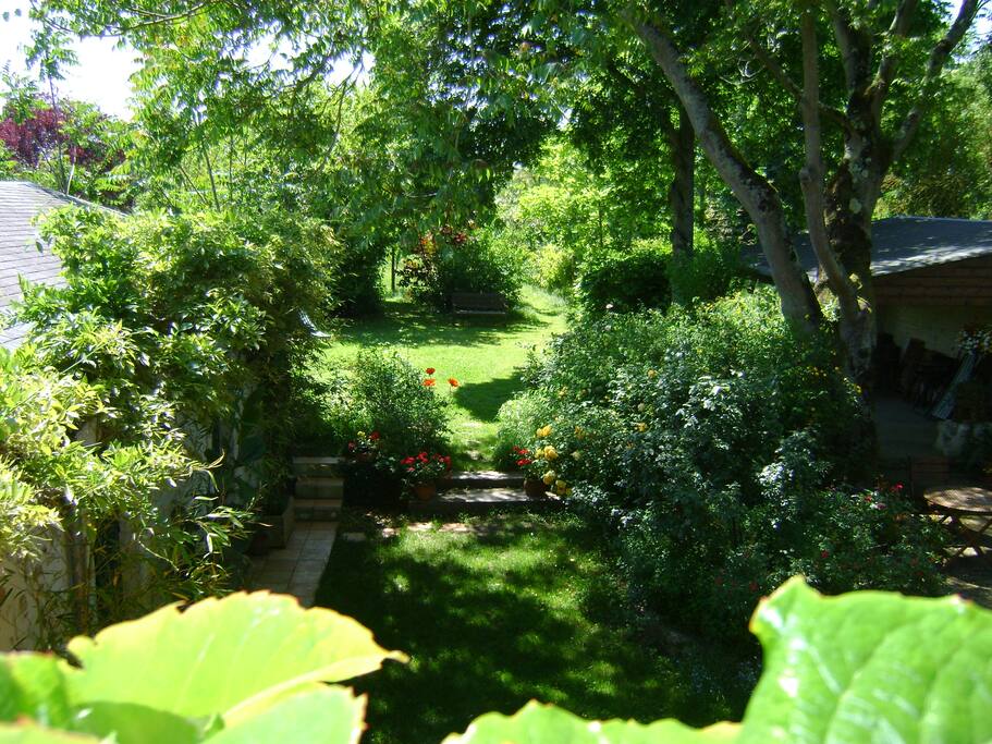 Au milieu de la verdure…