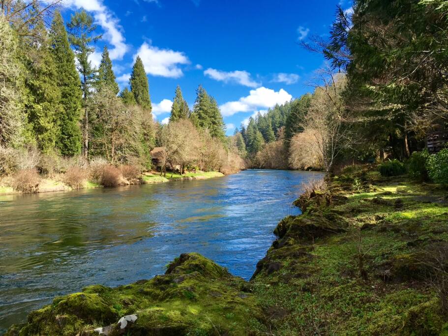 Spectacular! See drone video at WhisperingPinesOregon.com