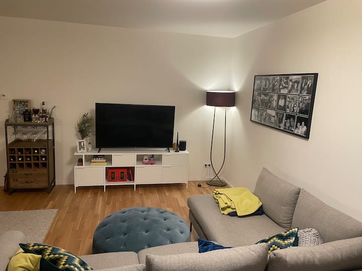 Hamburg in the middle of the entire 75m2 apartment on the Alster