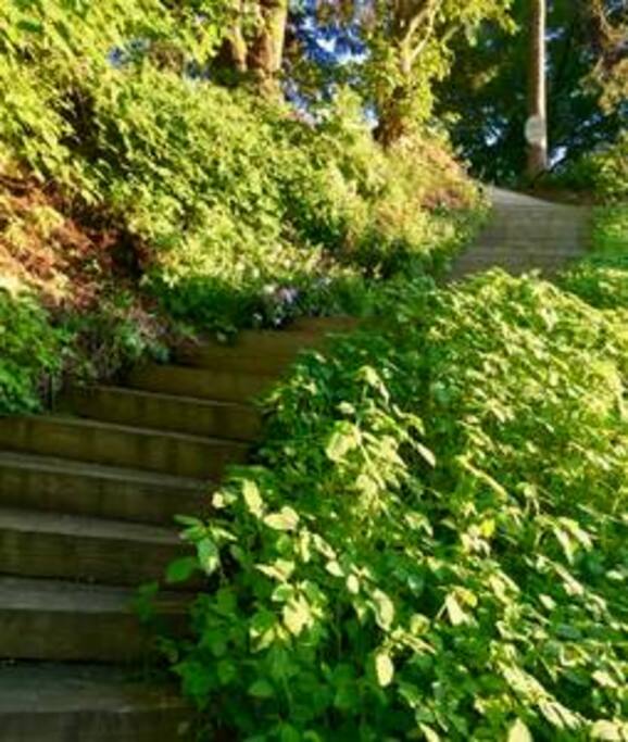 stairs to rail trail from backyard