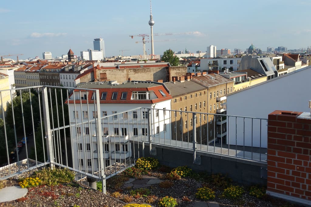terrace - view- roof garden