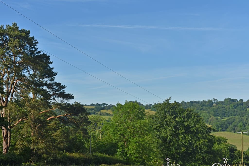 View from house