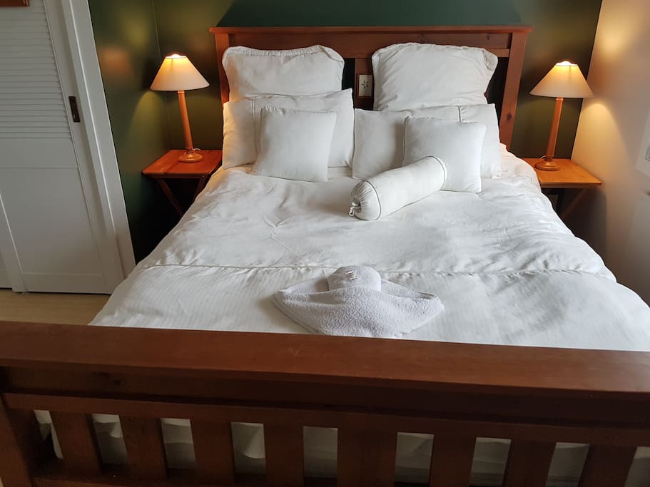 Room Tane with Queen Bed